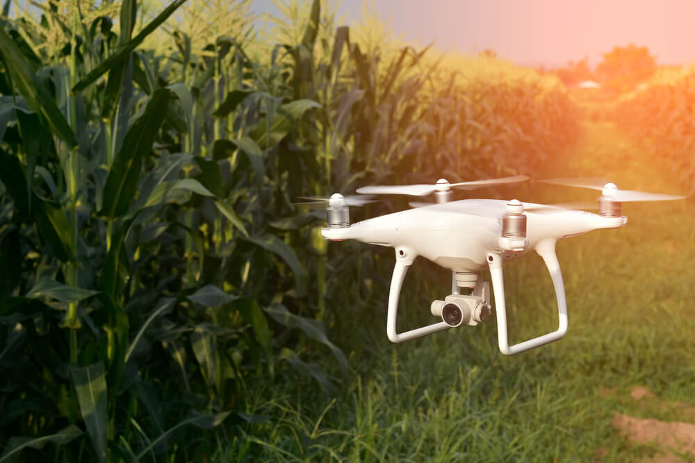 Qual o papel da robótica na agricultura?